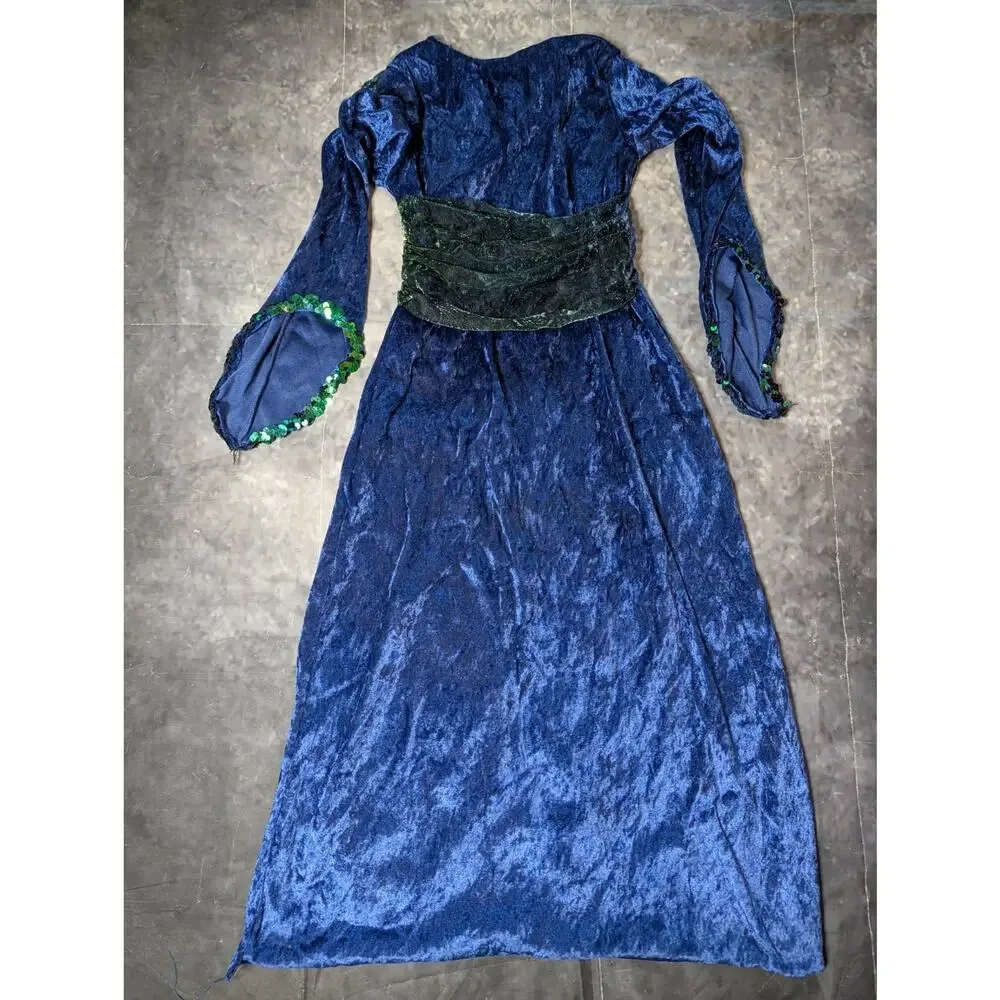 Medieval Princess Sorceress Dress Girls Child Size S 4-6x Halloween Costume